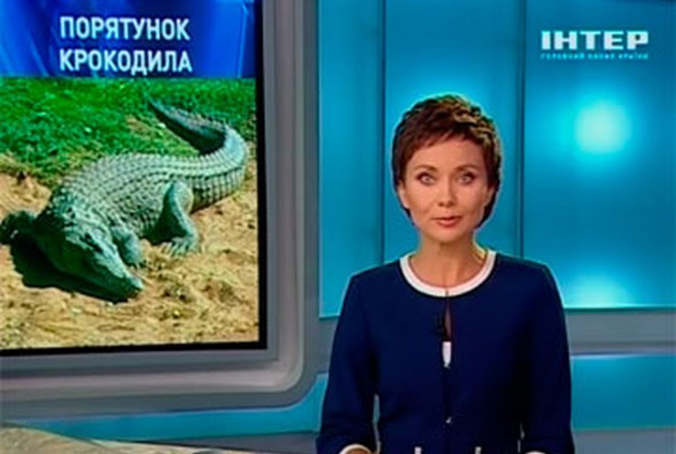 Крымского фотографа накажут за издевательство над крокодилом