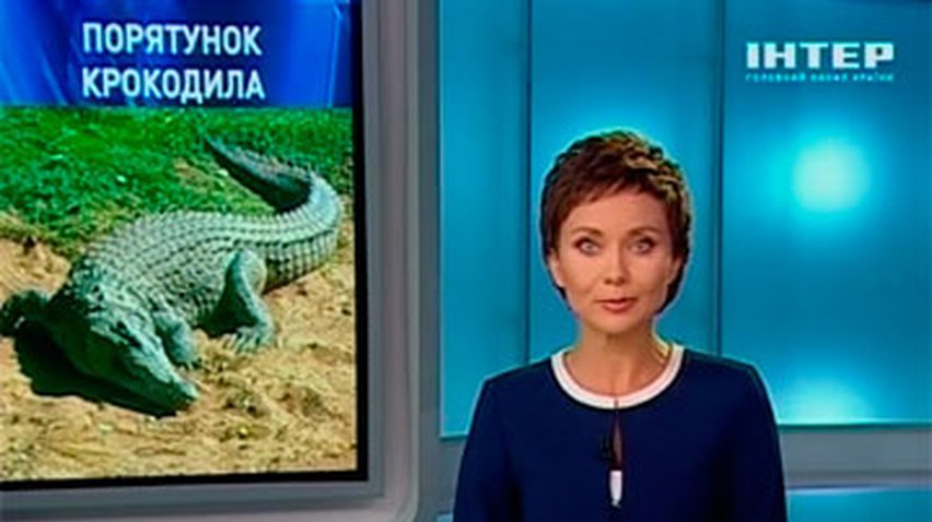 Крымского фотографа накажут за издевательство над крокодилом