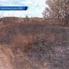 По факту лесного пожара в Карпатах возбуджено уголовное дело