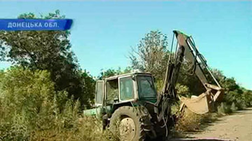 В Донецкой области обнаружены четыре гектара конопли