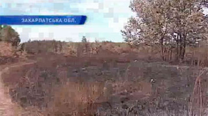 По факту лесного пожара в Карпатах возбуджено уголовное дело