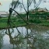 На Южную Корею надвигается новый тайфун