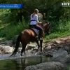 На Закарпатье выбрали лучшего гуцульского коня