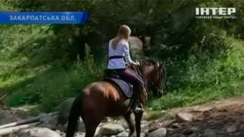 На Закарпатье выбрали лучшего гуцульского коня