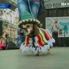 В Кракове проходит традиционный парад охотничьих собак