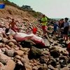 Американцев напугала выброшенная на берег белая акула