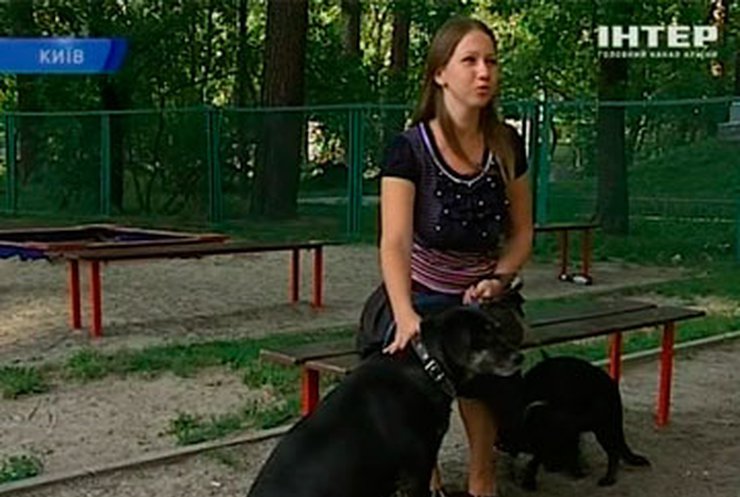 Украинцы объединяются в соцсетях для помощи животным