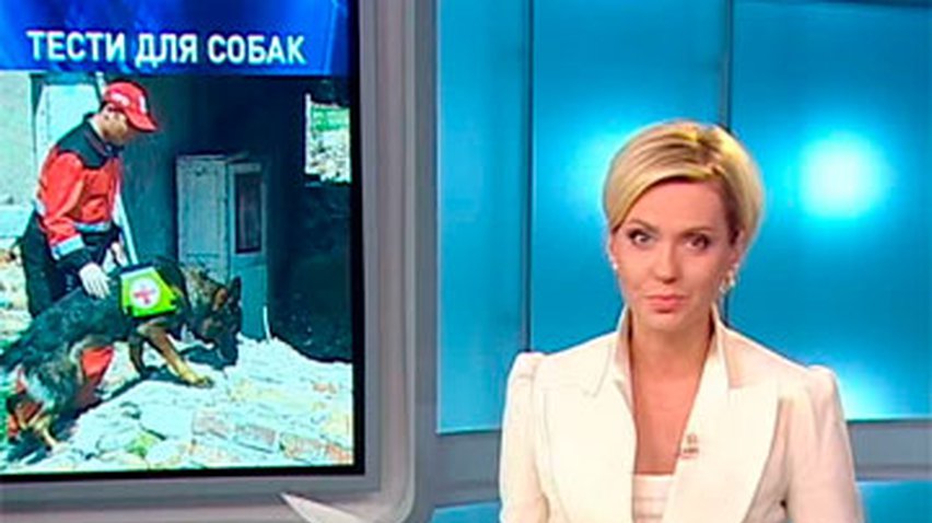 На Сумщине пройдет международный чемпионат спасателей с собаками