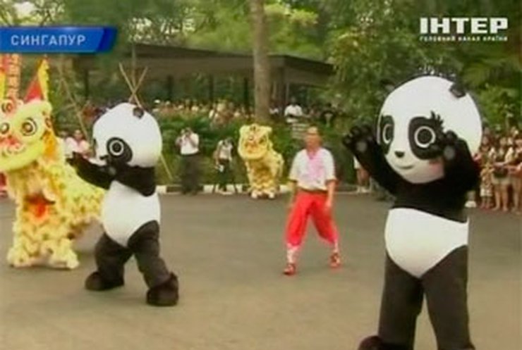 В зоопарке Сингапура поселились две панды