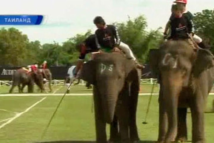 В Таиланде начались соревнования по поло на слонах