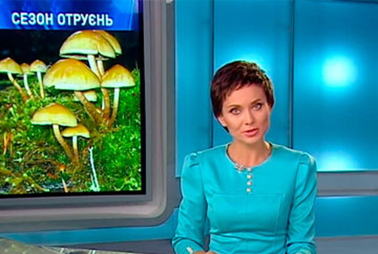 На Днепропетровщине возрастает количество отравившихся грибами