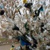 Правительство хочет запретить полиэтиленовые пакеты