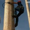 В Британии определили лучшего покорителя деревьев