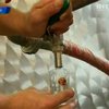 Украинская СЭС будет проверять алкоголь из Чехии