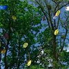 Сегодня смайл отмечает тридцатый день рождения