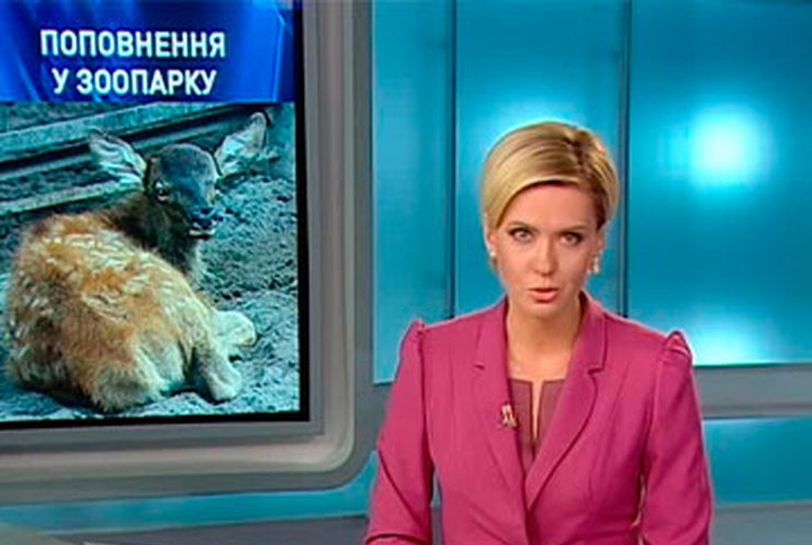В киевском зоопарке родился благородный олень