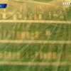 Россия может запретить импорт чешского алкоголя