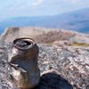 Металлические банки для напитков вызывают ожирение
