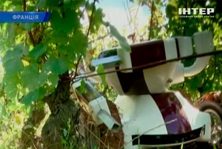 Французские изобретатели создали робота-винодела