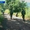 Жертвами нарковойны в Мексике стали 11 человек