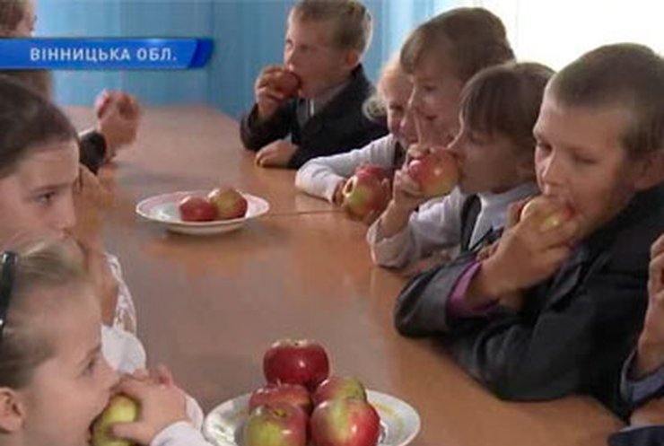 На Винниччине школьники сами выращивают фрукты и овощи для школьных столовых