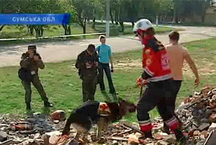 В Сумах прошли международные соревнования собак-спасателей