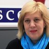 ОБСЕ приветствует отказ Рады продолжать тему криминализации клеветы
