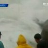 В Мексике спасли 8 рыбаков, судно которых разбил шторм