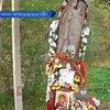 На Закарпатье узрели лик Богородицы на старом дереве