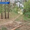 В Черкасской области пятилетнюю девочку насмерть придавило сосной