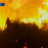 США страдают от лесных пожаров