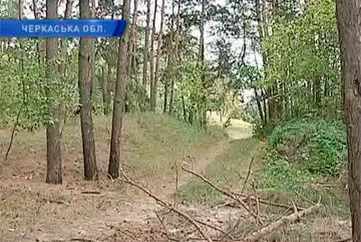 В Черкасской области пятилетнюю девочку насмерть придавило сосной