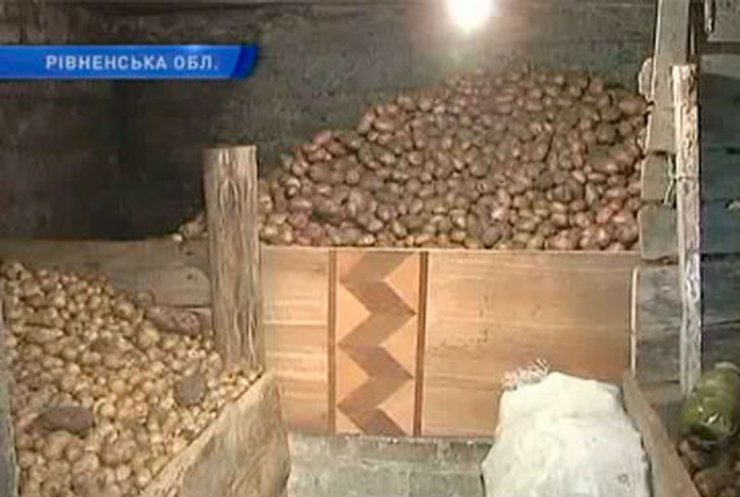 Фермеры требовали под Кабмином урегулировать цены на картофель
