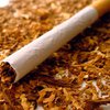 В Хмельницкой области изъяли 300 тысяч пачек контрабандных сигарет