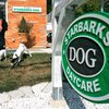 В США сеть кофеен попросила собачий приют сменить похожее название