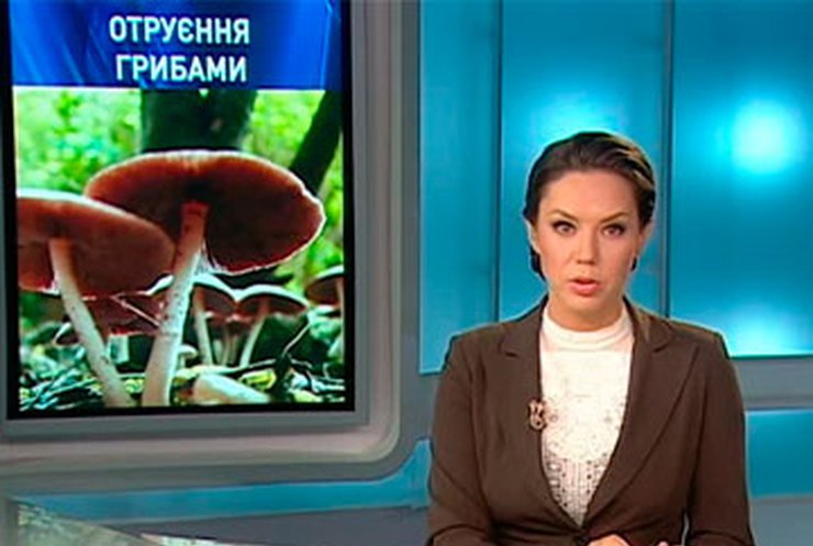 На Кировоградщине четверо человек отравились грибами