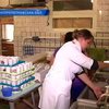 На Днепропетровщине дети отравились в школьной столовой
