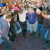 Во Львове открылся фестиваль для любителей вина и сыра