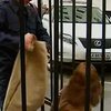 В Киеве правозащитники призвали создать независимое бюро расследований