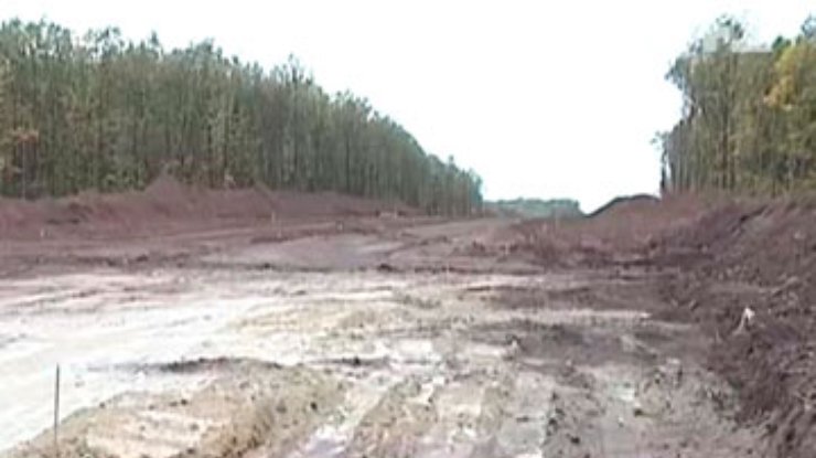 На Кировоградщине вырубили четыре километра заповедника