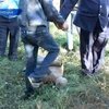 В Макеевке трое юношей избили до смерти бомжа