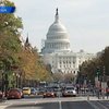 В США запретили наблюдателям ОБСЕ приближаться к избирательным участкам
