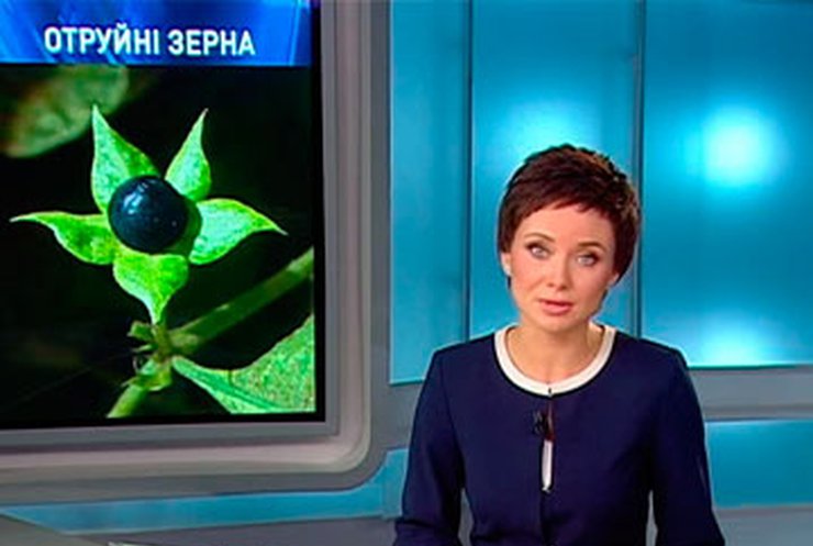 На Донетчине подросток отравился зернами белены