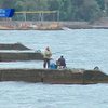 Крымские власти ввели запрет на вылов рыбы