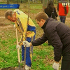 Жители Мариуполя высадили 4 тысячи деревьев