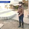 В Черновицкой области родила "дюймовочка", ростом 132 сантиметра