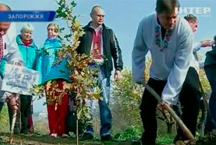 На Хортице высадили дубовую аллею в память актеров фильма "Тарас Бульба"