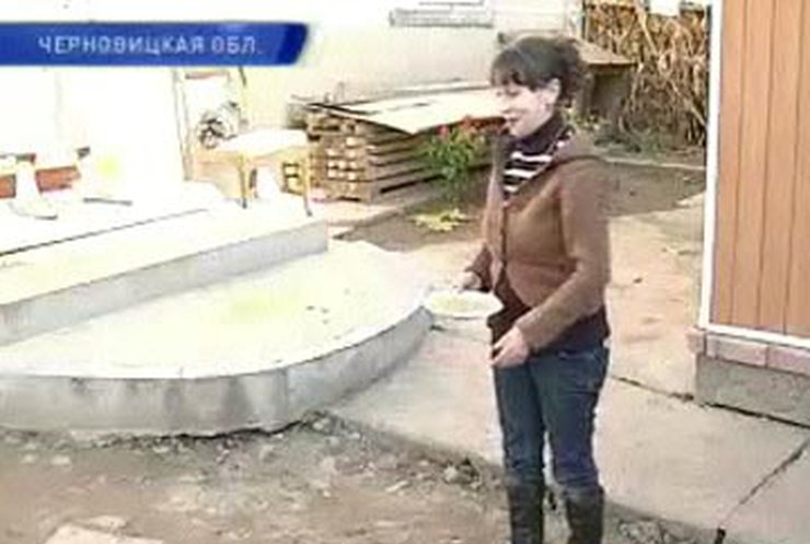 В Черновицкой области родила "дюймовочка", ростом 132 сантиметра