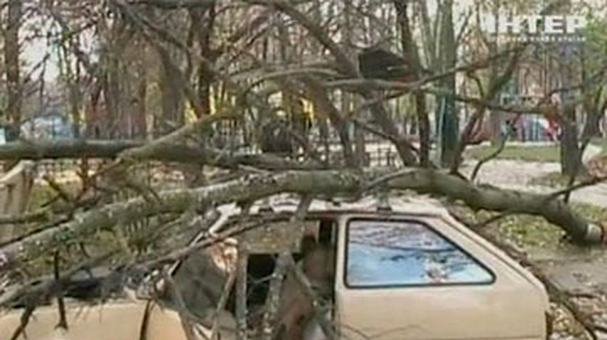 В Ривне МЧС спасло "Таврию", придавленную деревом