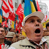 НГ: Украинская оппозиция отложила борьбу